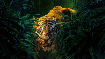 The Jungle Book backdrop 3