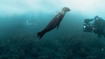 Still 4 from Guardians of the Galapagos