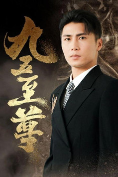 九五至尊 poster
