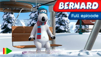 Berni T3E34