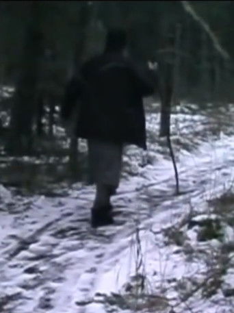 Step to the Skies poster