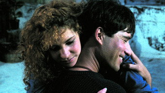 I Don't Give a Damn (1987)