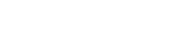 Never Have I Ever logo