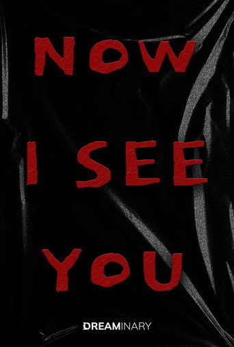 Cartell de Now I See You