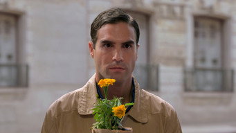 Goyo media image