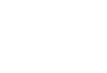 Bordertown logo