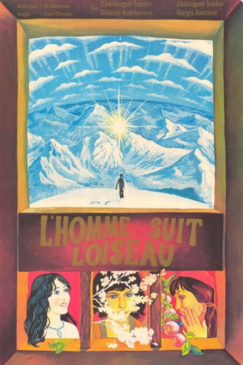 Человек уходит за птицами