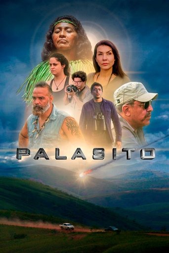 Pallasite (2021)
