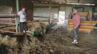 #6 Rural
