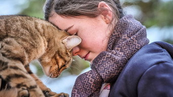 #12 Котяче життя. Велика пригода Муурр