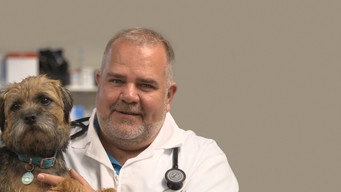 Doctor Barry (2019- )