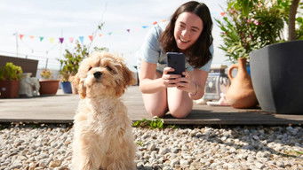 Episode 13 — Episode 13