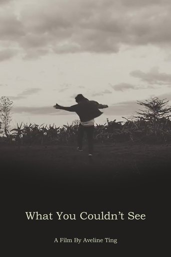 What You Couldn't See (2023)