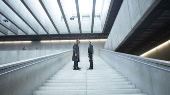 Galeria 5 - Restore Point