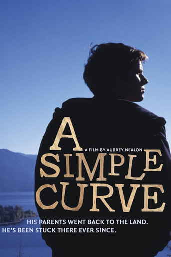 A Simple Curve poster 2
