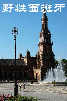 野性西班牙 poster