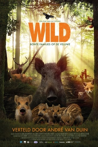 poster Wild