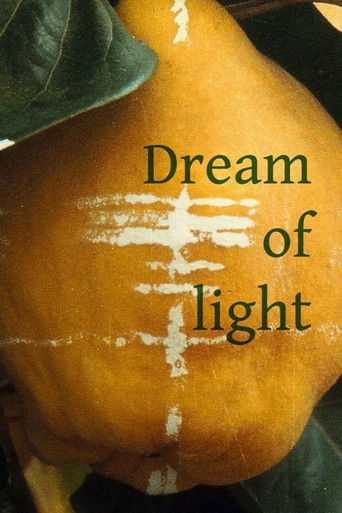 Dream of Light (1992)