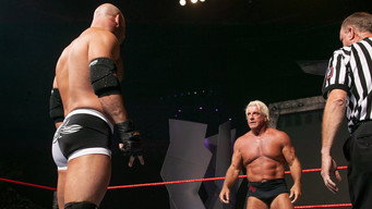 RAW 532