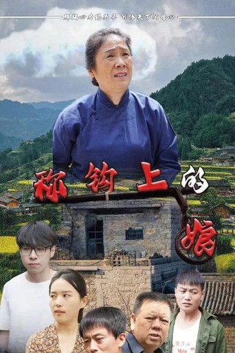 秤钩上的娘 poster