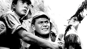 Відчайдушний на заході (1960)