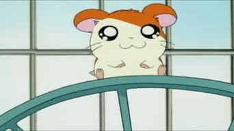 Hamtaro (2000-2006)