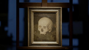 #5 Goya's Skull