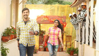 #7 Brindavanam