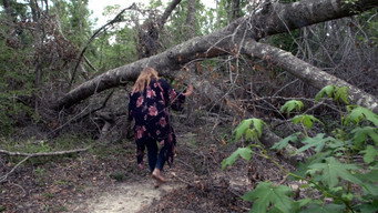 Spirits in the Storm (2019)