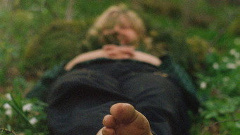 #15 Once Upon a Time in a Forest