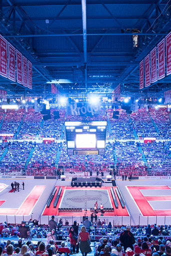 The Joe