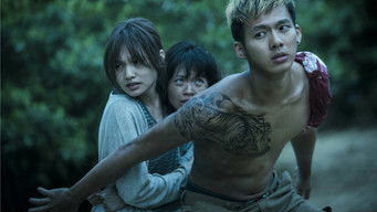 Galeria 2 - The Tag-Along 2