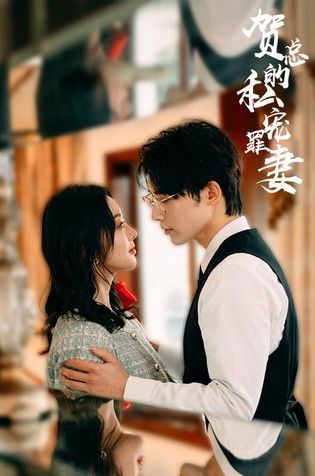 贺总的私宠罪妻 poster