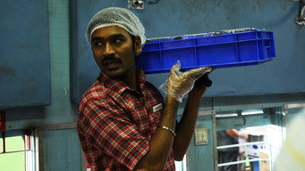 #10 Thodari