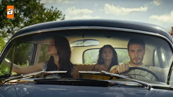 Blind Spot (2024)