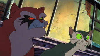 #10 Felidae