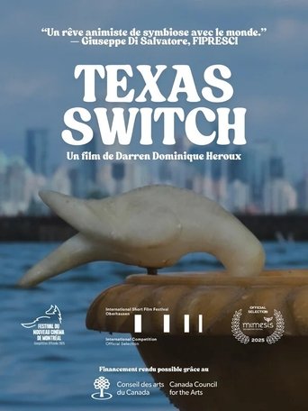 Texas Switch poster