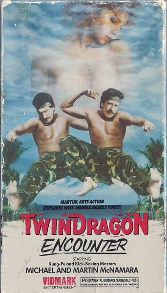 Poster för Twin Dragon Encounter