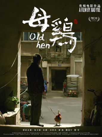 母鸡 poster