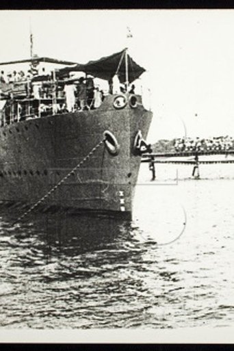 Fatos Históricos Do Tiro De Guerra 19 Rio Branco poster