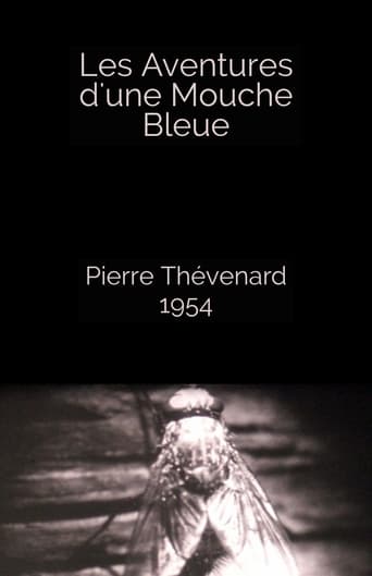 Poster för The Adventures of a Blue Fly