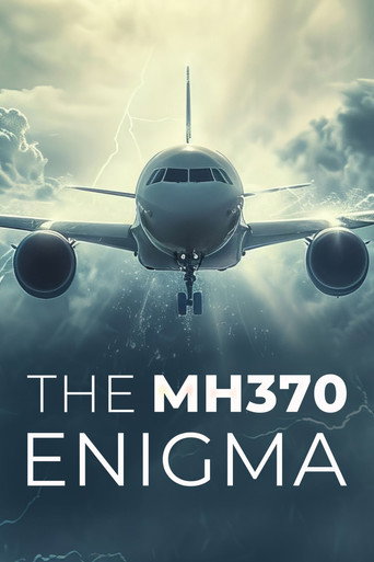 Poster zu The MH370 Enigma