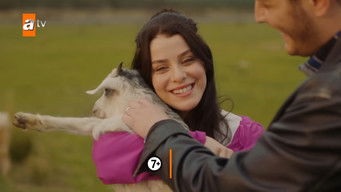 Episode 24 — Episode 45