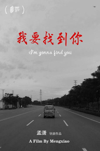 I'm Gonna Find You poster