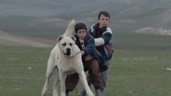 Sivas (2014)