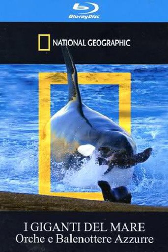 Orca Killing School (2009)