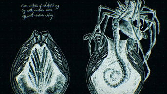 #5 Alien: Covenant - Epilogue: Advent