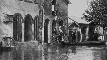 Lyon : sauvetage de lapins (1896)