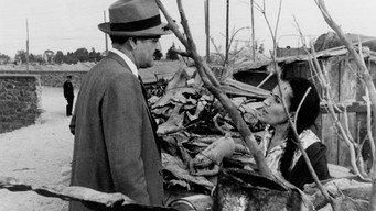 The Mind and the Crime (1964)