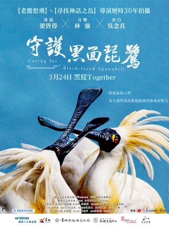 Poster of 守護黑面琵鷺